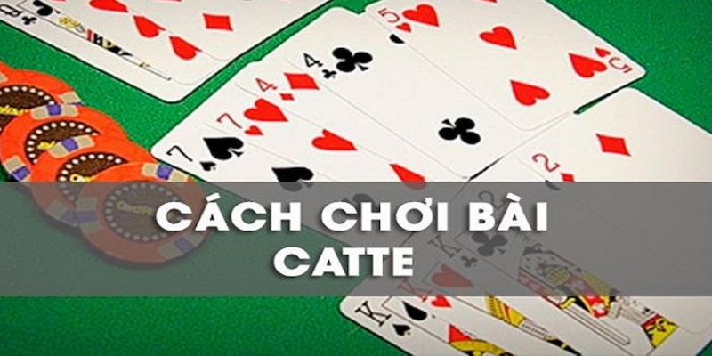 Hướng dẫn chi tiết cách chơi bài cát tê tại 8day